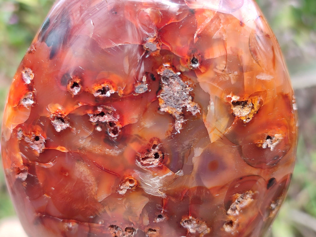 Polished Carnelian Agate Gemstone Standing Free Form x 3 From Madagascar - Toprock Gemstones and Minerals 