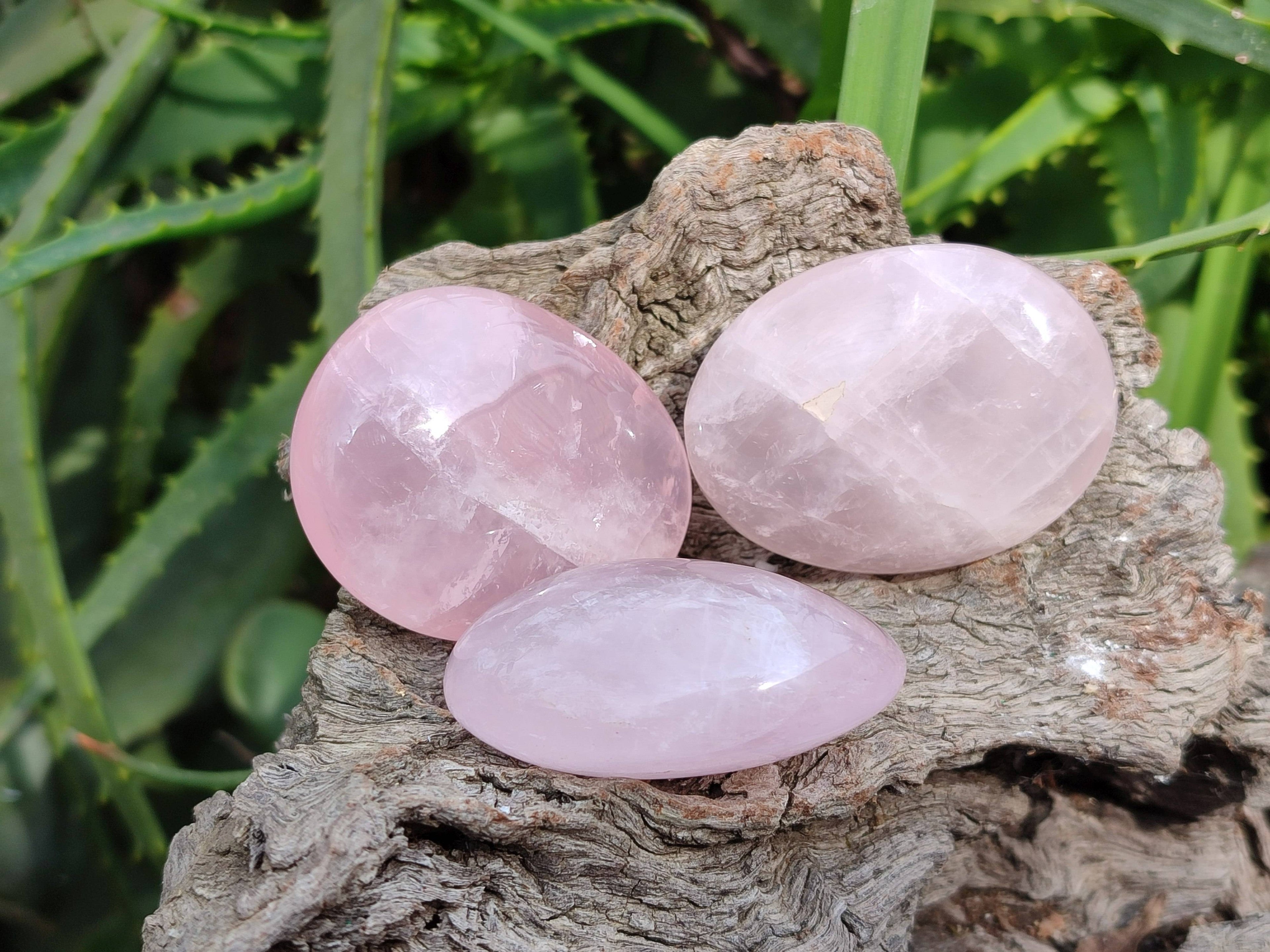 Polished Rose Quartz Palm Stones x 20 From Madagascar - Toprock Gemstones and Minerals 