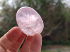 Polished Rose Quartz Palm Stones x 20 From Madagascar - Toprock Gemstones and Minerals 