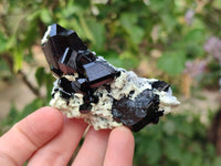 Natural Schorl Black Tourmaline Specimens x 12 From Erongo, Namibia - Toprock Gemstones and Minerals 