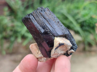 Natural Schorl Black Tourmaline Specimens x 12 From Erongo, Namibia - Toprock Gemstones and Minerals 