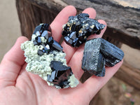 Natural Schorl Black Tourmaline Specimens x 12 From Erongo, Namibia - Toprock Gemstones and Minerals 