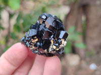 Natural Schorl Black Tourmaline Specimens x 12 From Erongo, Namibia - Toprock Gemstones and Minerals 