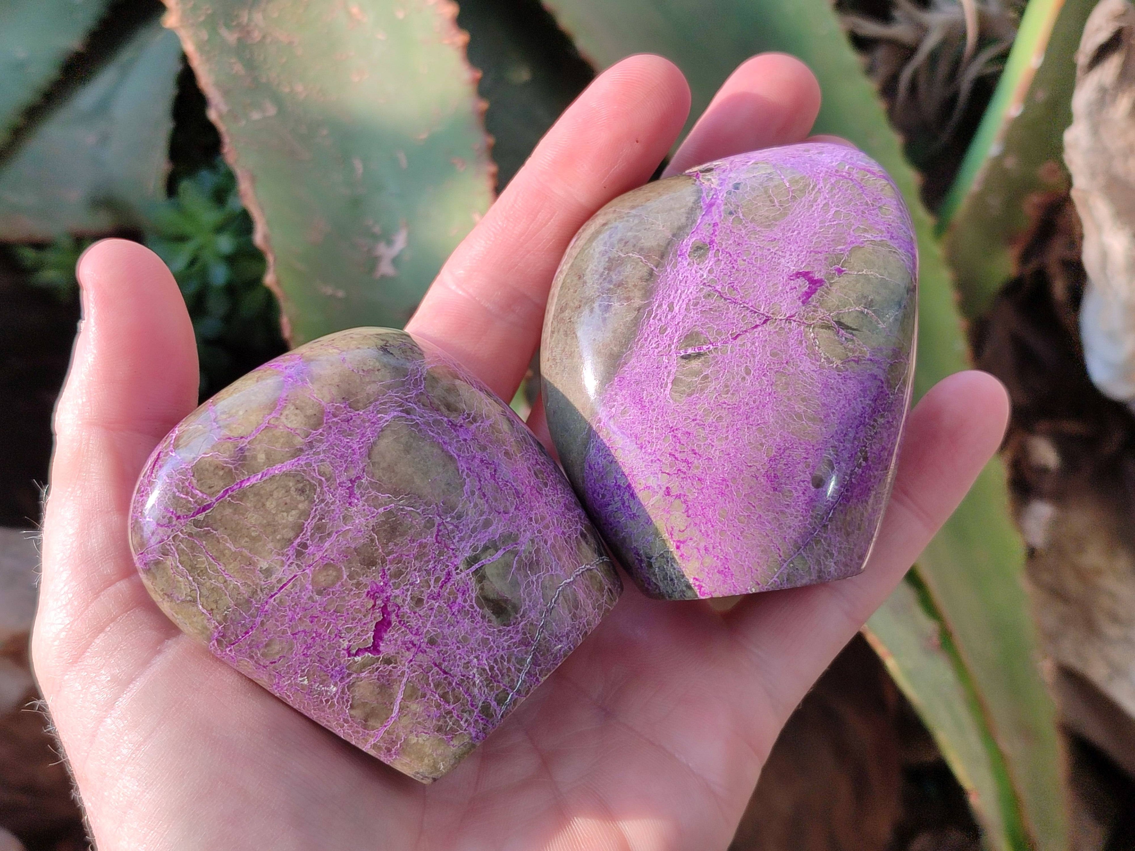 Polished Stichtite Standing Free Forms x 6 From Barberton, South Africa - Toprock Gemstones and Minerals 