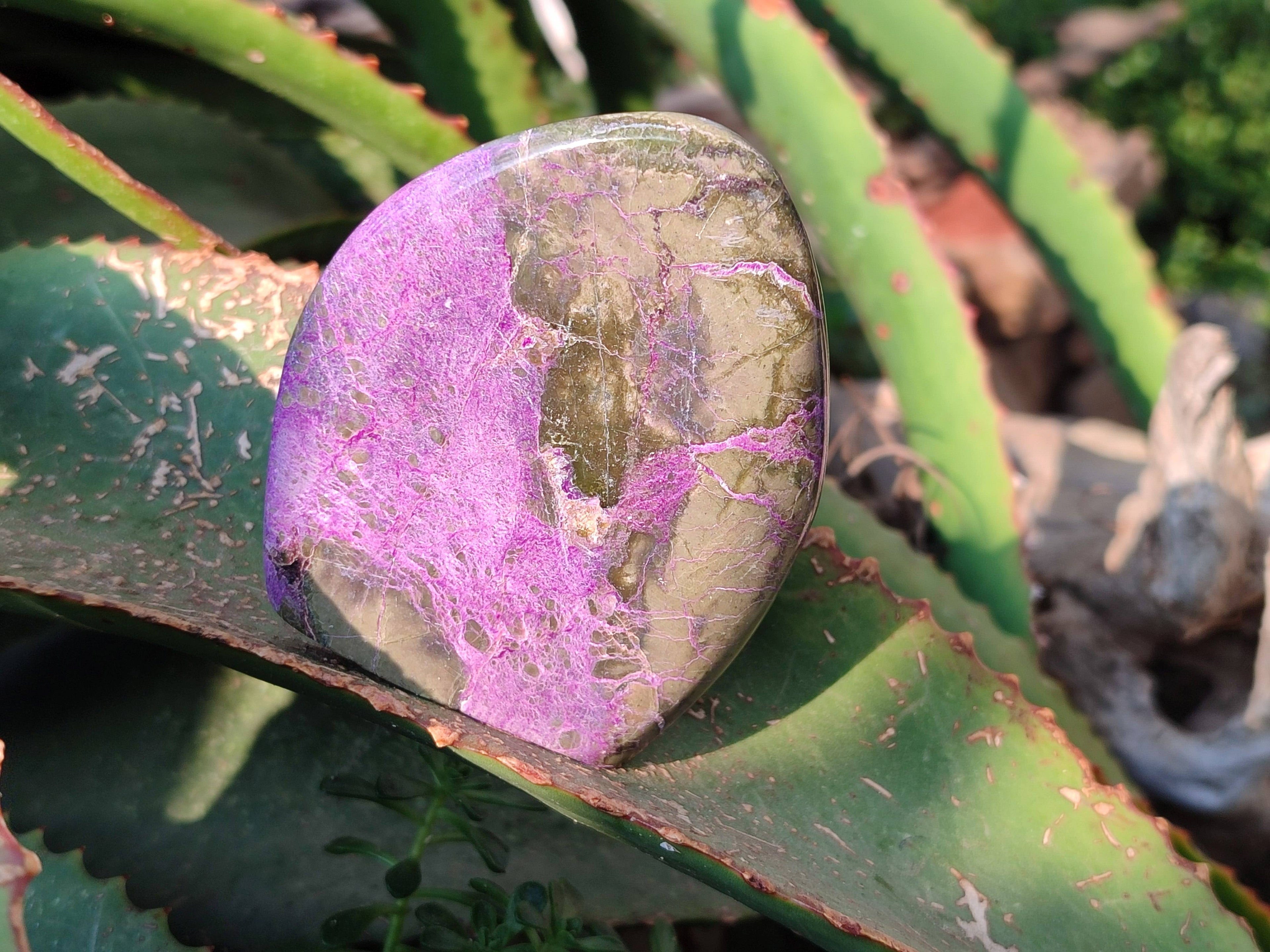 Polished Stichtite Standing Free Forms x 6 From Barberton, South Africa - Toprock Gemstones and Minerals 