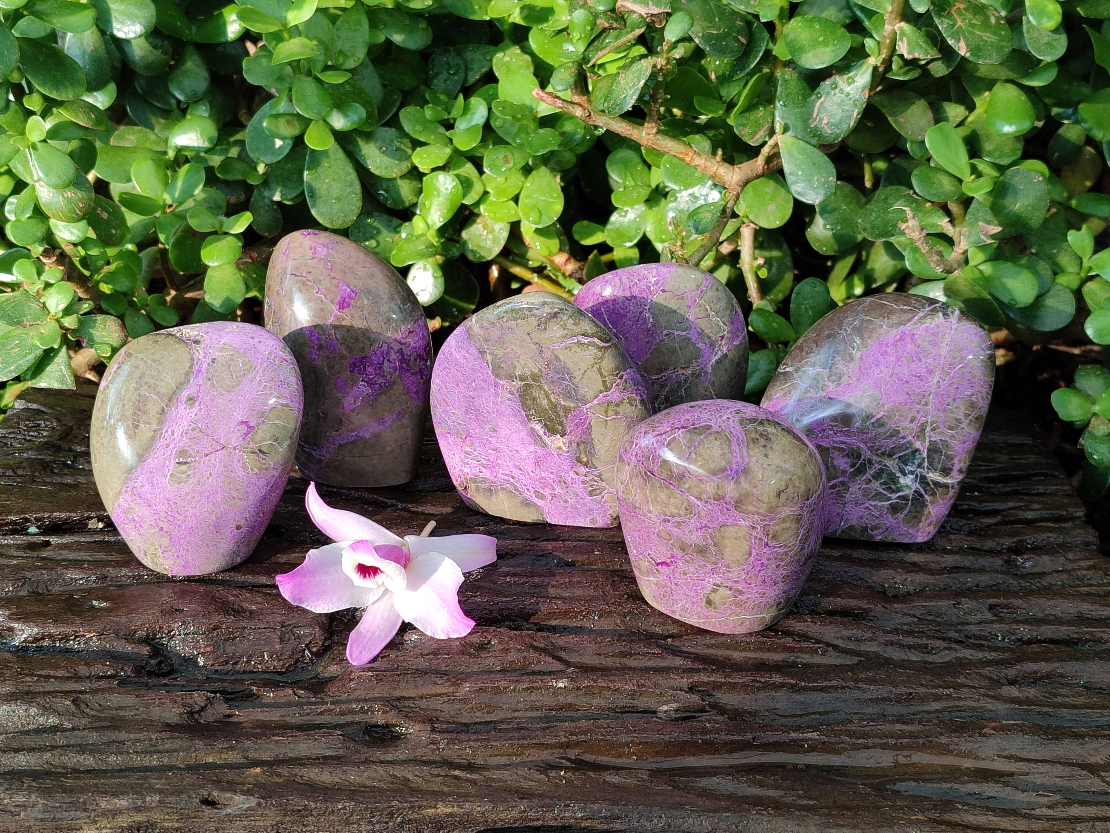 Polished Stichtite Standing Free Forms x 6 From Barberton, South Africa - Toprock Gemstones and Minerals 
