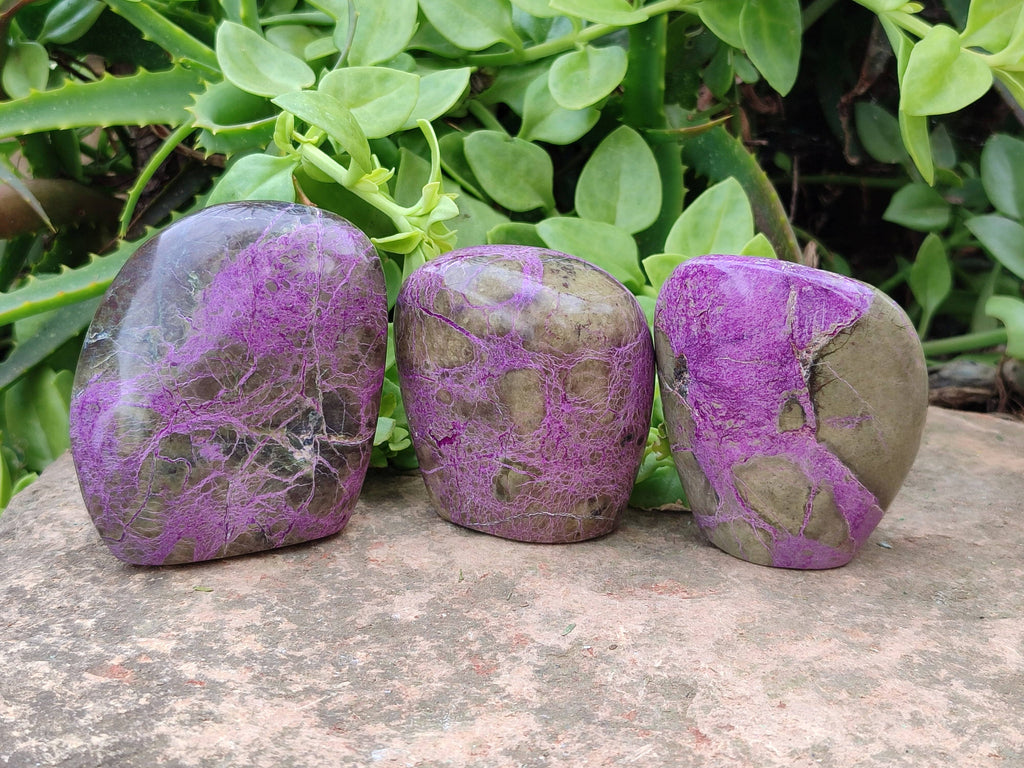 Polished Stichtite Standing Free Forms x 6 From Barberton, South Africa - Toprock Gemstones and Minerals 
