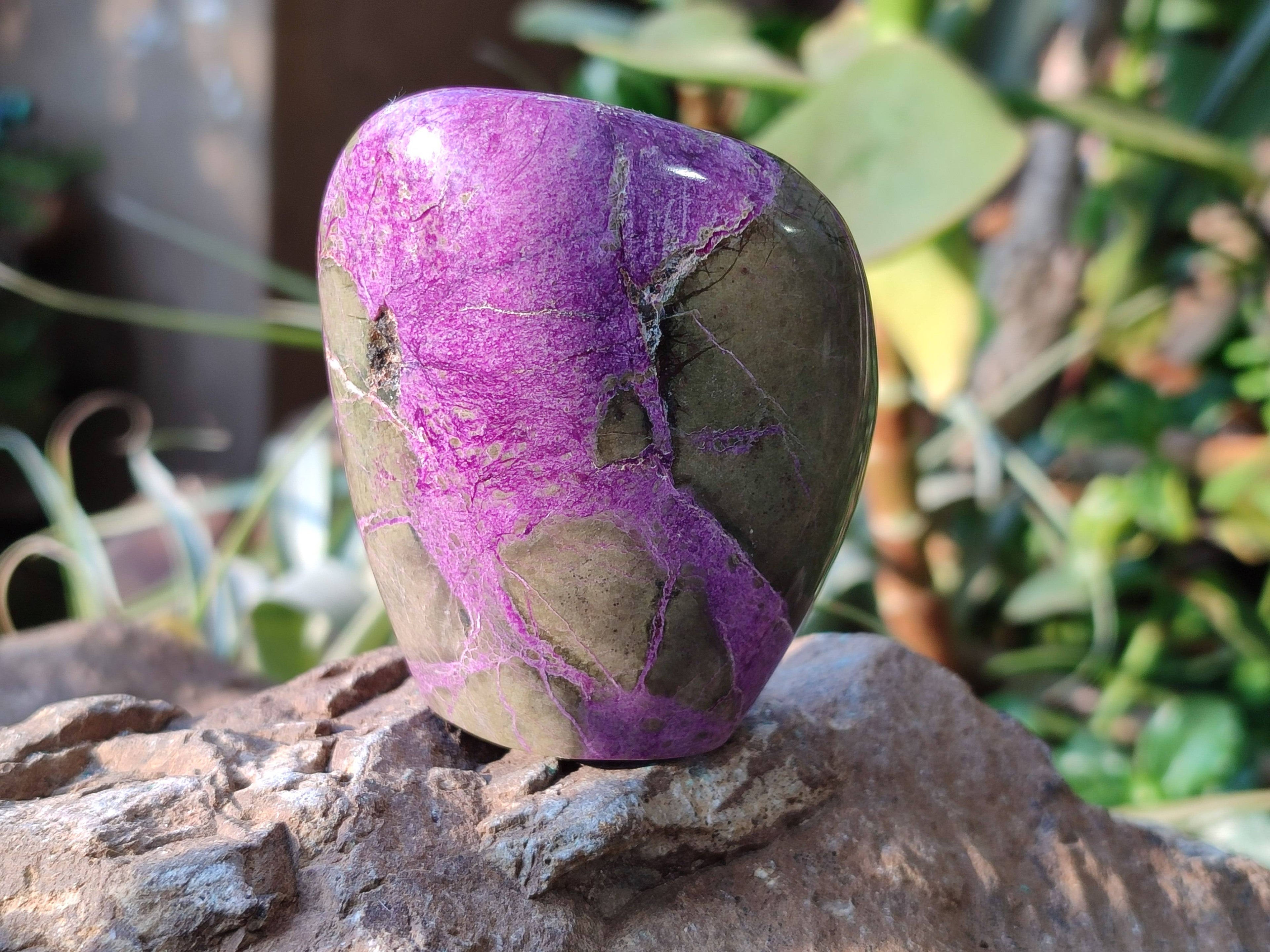 Polished Stichtite Standing Free Forms x 6 From Barberton, South Africa - Toprock Gemstones and Minerals 