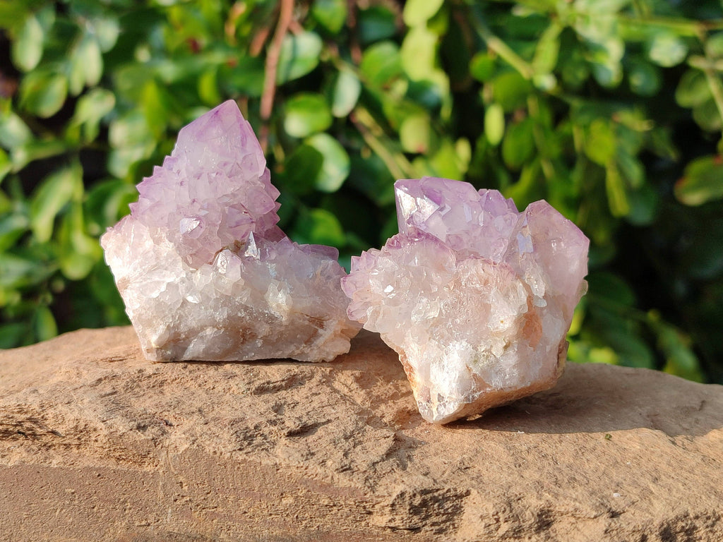 Natural Sunburst Amethyst Spirit Quartz Clusters x 12 From Boekenhouthoek, South Africa - Toprock Gemstones and Minerals 