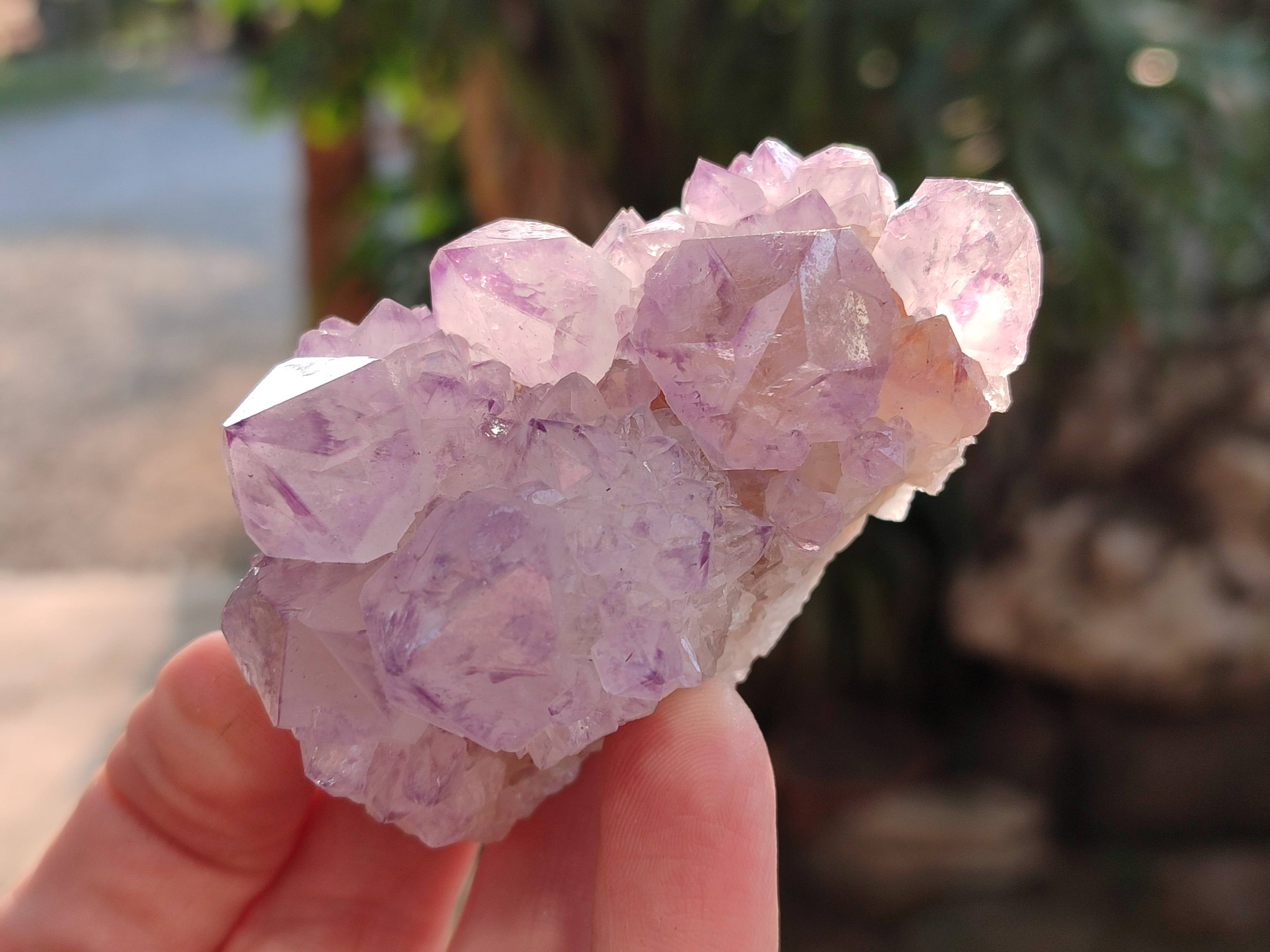 Natural Sunburst Amethyst Spirit Quartz Clusters x 12 From Boekenhouthoek, South Africa - Toprock Gemstones and Minerals 