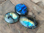 Polished Labradorite Galets x 12 From Tulear, Madagascar - Toprock Gemstones and Minerals 
