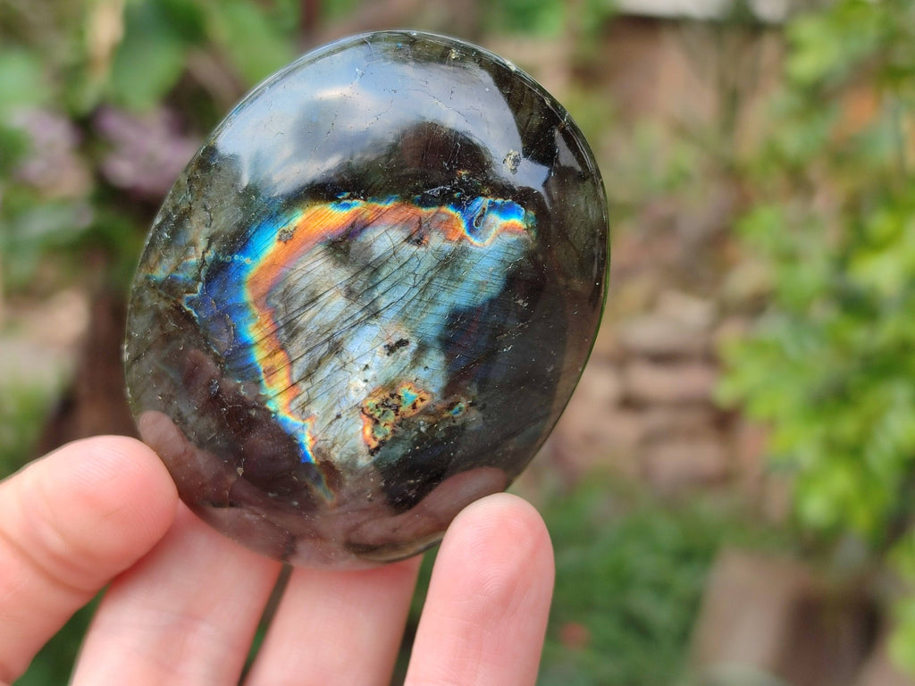Polished Labradorite Galets x 12 From Tulear, Madagascar - Toprock Gemstones and Minerals 