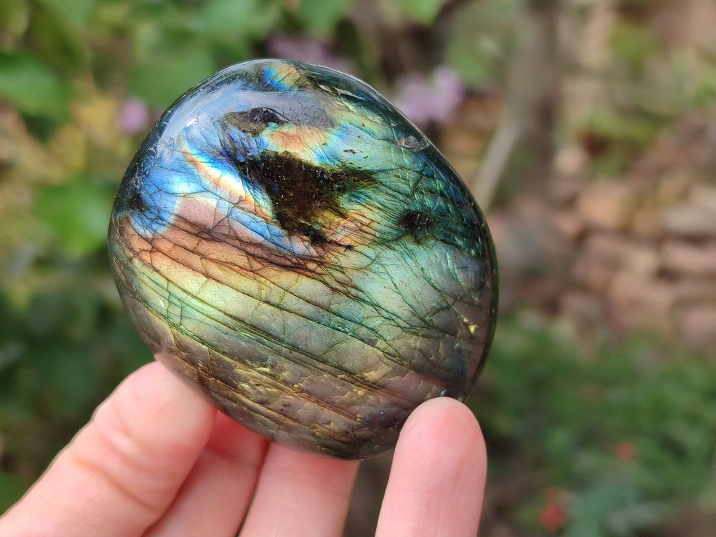 Polished Labradorite Galets x 12 From Tulear, Madagascar - Toprock Gemstones and Minerals 