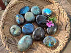 Polished Labradorite Galets x 12 From Tulear, Madagascar - Toprock Gemstones and Minerals 