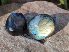 Polished Labradorite Galets x 12 From Tulear, Madagascar - Toprock Gemstones and Minerals 