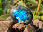 Polished Labradorite Galets x 12 From Tulear, Madagascar - Toprock Gemstones and Minerals 