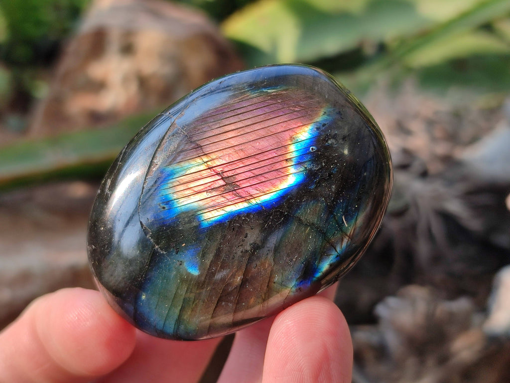 Polished Labradorite Galets x 12 From Tulear, Madagascar - Toprock Gemstones and Minerals 