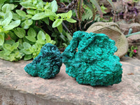 Natural Silky Malachite Specimens x 2 From Kasompe, Congo - Toprock Gemstones and Minerals 