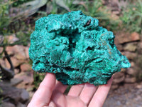 Natural Silky Malachite Specimens x 2 From Kasompe, Congo - Toprock Gemstones and Minerals 