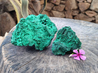 Natural Silky Malachite Specimens x 2 From Kasompe, Congo - Toprock Gemstones and Minerals 