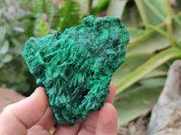 Natural Silky Malachite Specimens x 2 From Kasompe, Congo - Toprock Gemstones and Minerals 