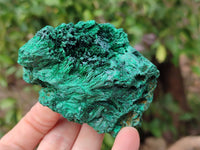 Natural Silky Malachite Specimens x 2 From Kasompe, Congo - Toprock Gemstones and Minerals 
