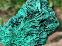 Natural Silky Malachite Specimens x 2 From Kasompe, Congo - Toprock Gemstones and Minerals 