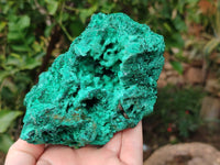 Natural Silky Malachite Specimens x 2 From Kasompe, Congo - Toprock Gemstones and Minerals 