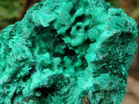 Natural Silky Malachite Specimens x 2 From Kasompe, Congo - Toprock Gemstones and Minerals 