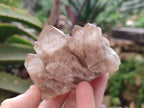 Natural Smokey Phantom Quartz Clusters x 6 From Luena, Congo - Toprock Gemstones and Minerals 