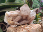 Natural Smokey Phantom Quartz Clusters x 6 From Luena, Congo - Toprock Gemstones and Minerals 