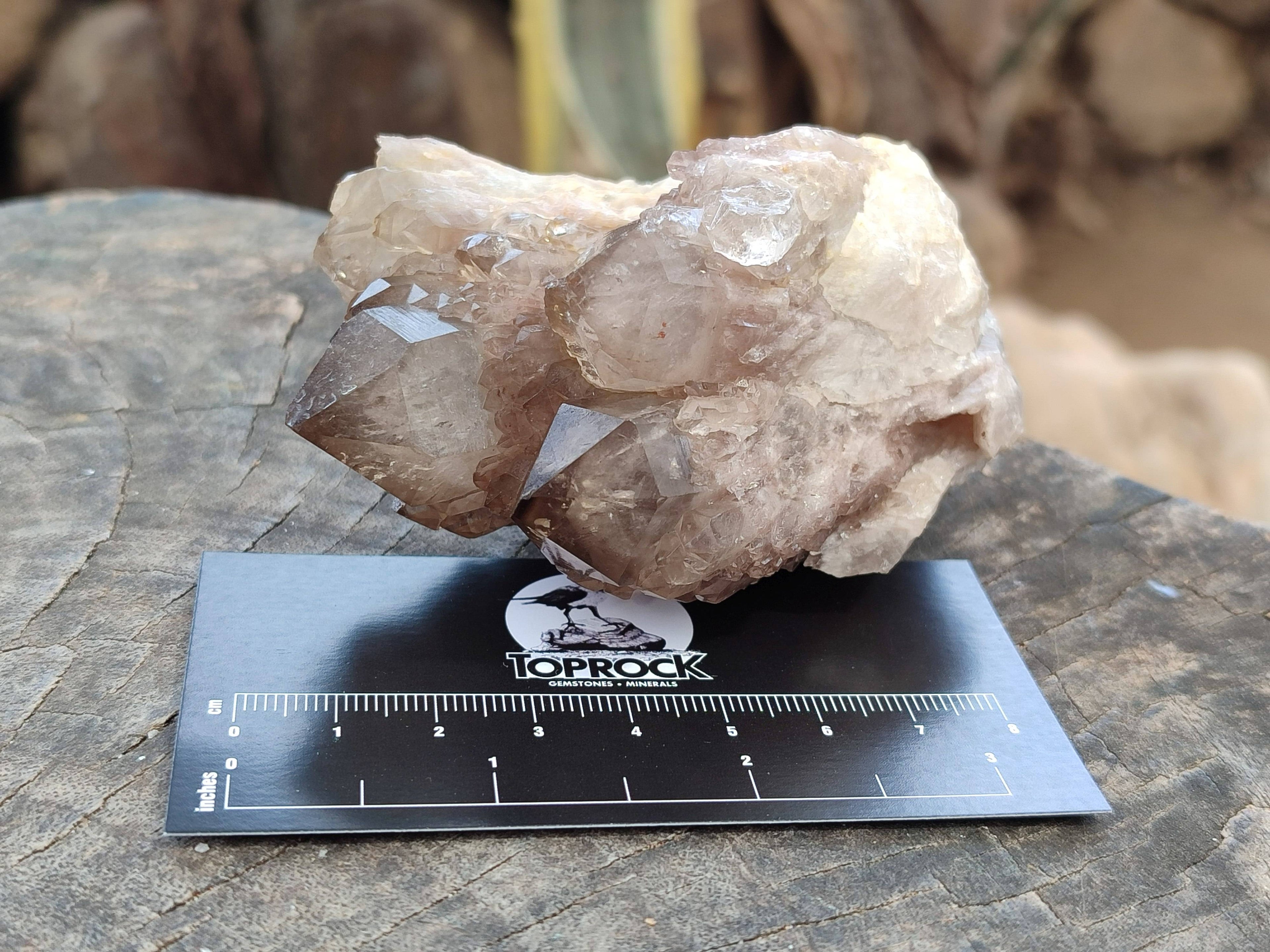 Natural Smokey Phantom Quartz Clusters x 6 From Luena, Congo - Toprock Gemstones and Minerals 