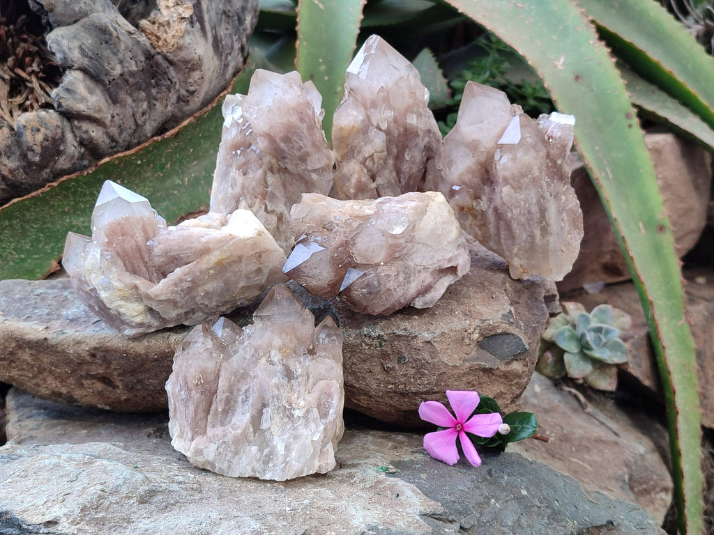 Natural Smokey Phantom Quartz Clusters x 6 From Luena, Congo - Toprock Gemstones and Minerals 