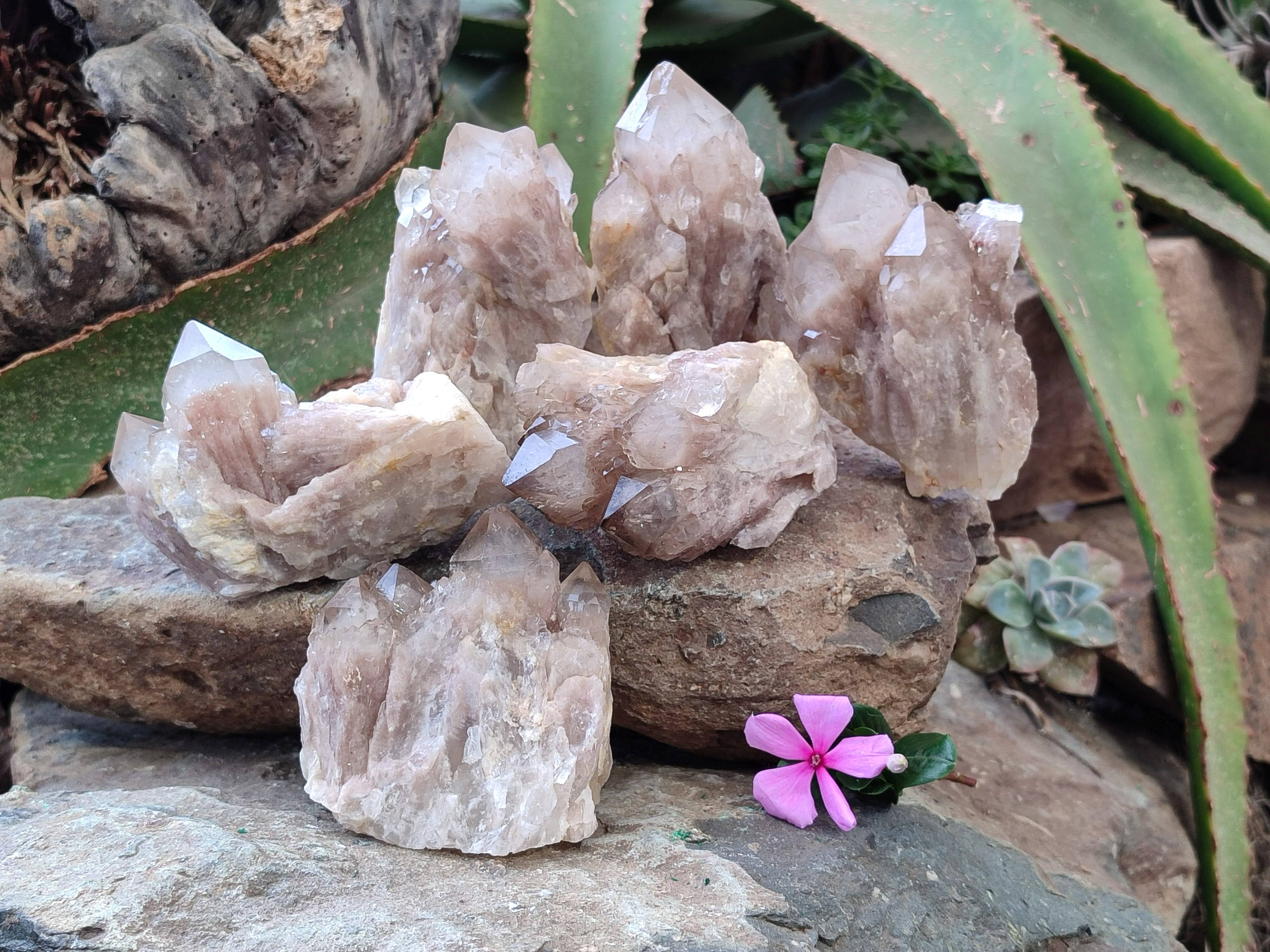 Natural Smokey Phantom Quartz Clusters x 6 From Luena, Congo - Toprock Gemstones and Minerals 