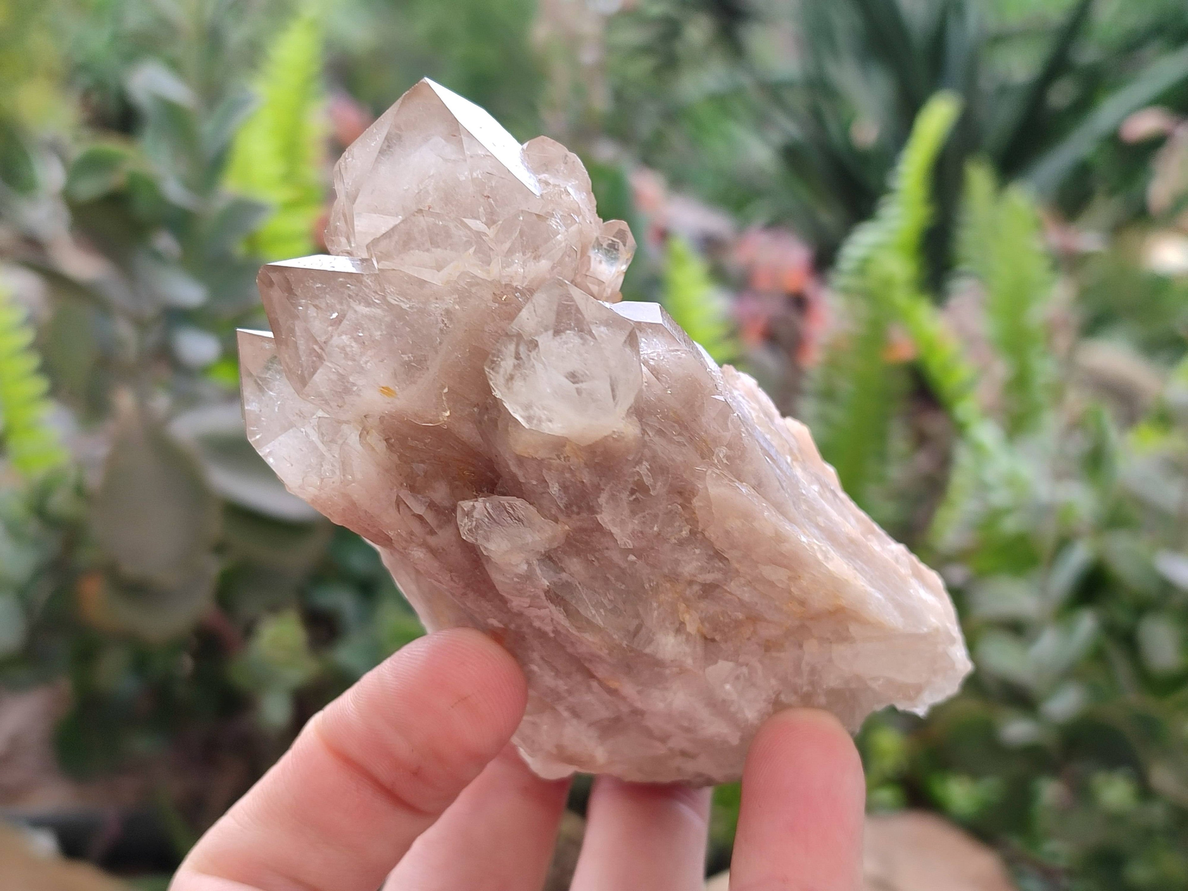 Natural Smokey Phantom Quartz Clusters x 6 From Luena, Congo - Toprock Gemstones and Minerals 