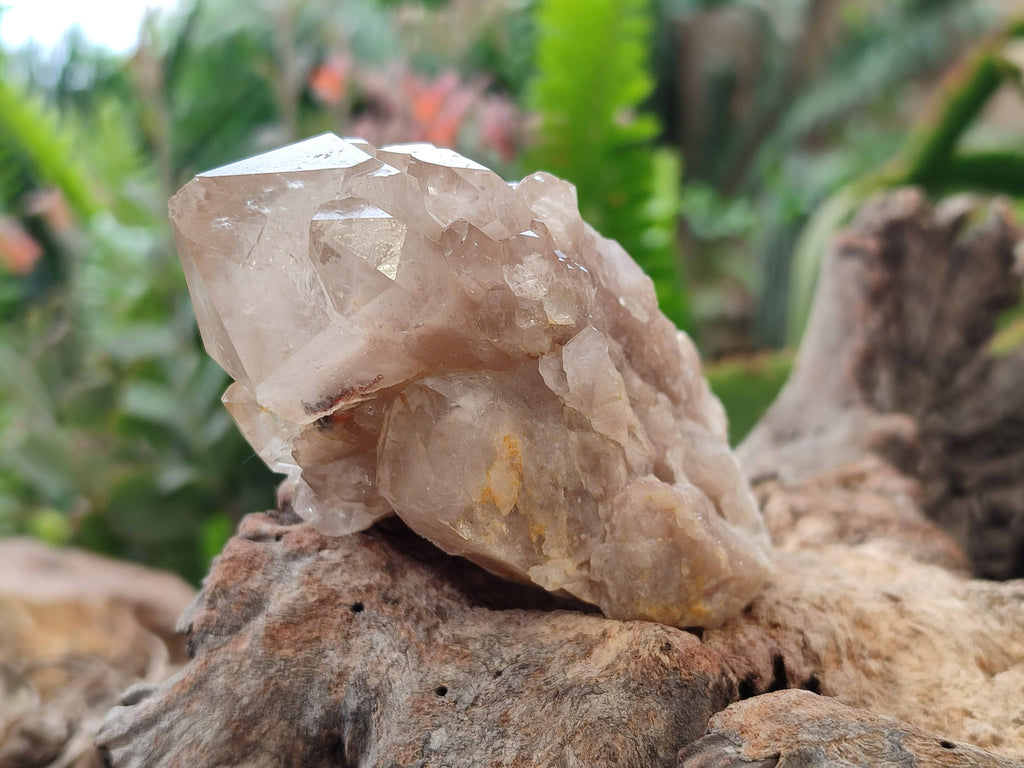 Natural Smokey Phantom Quartz Clusters x 6 From Luena, Congo - Toprock Gemstones and Minerals 