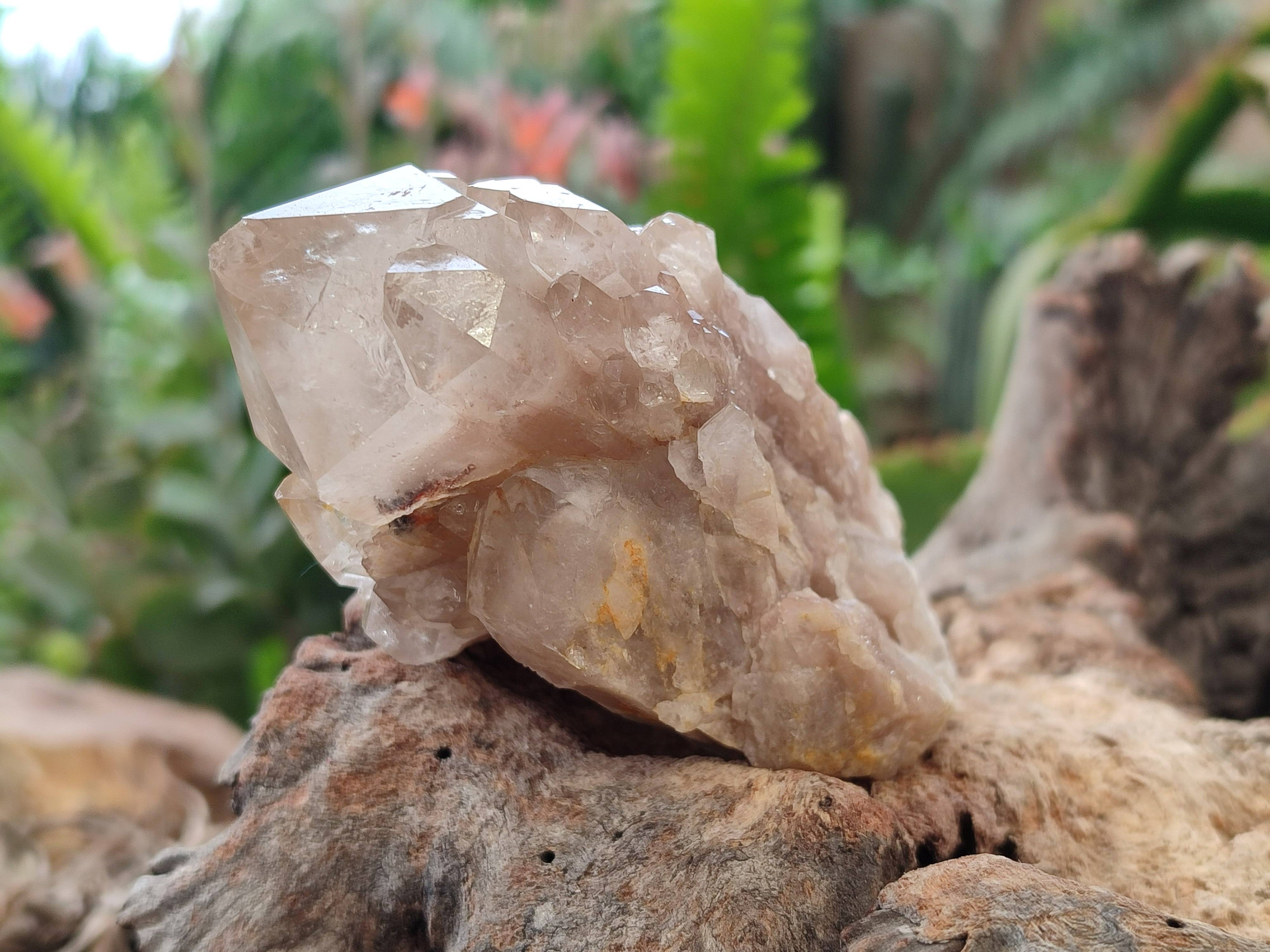 Natural Smokey Phantom Quartz Clusters x 6 From Luena, Congo - Toprock Gemstones and Minerals 