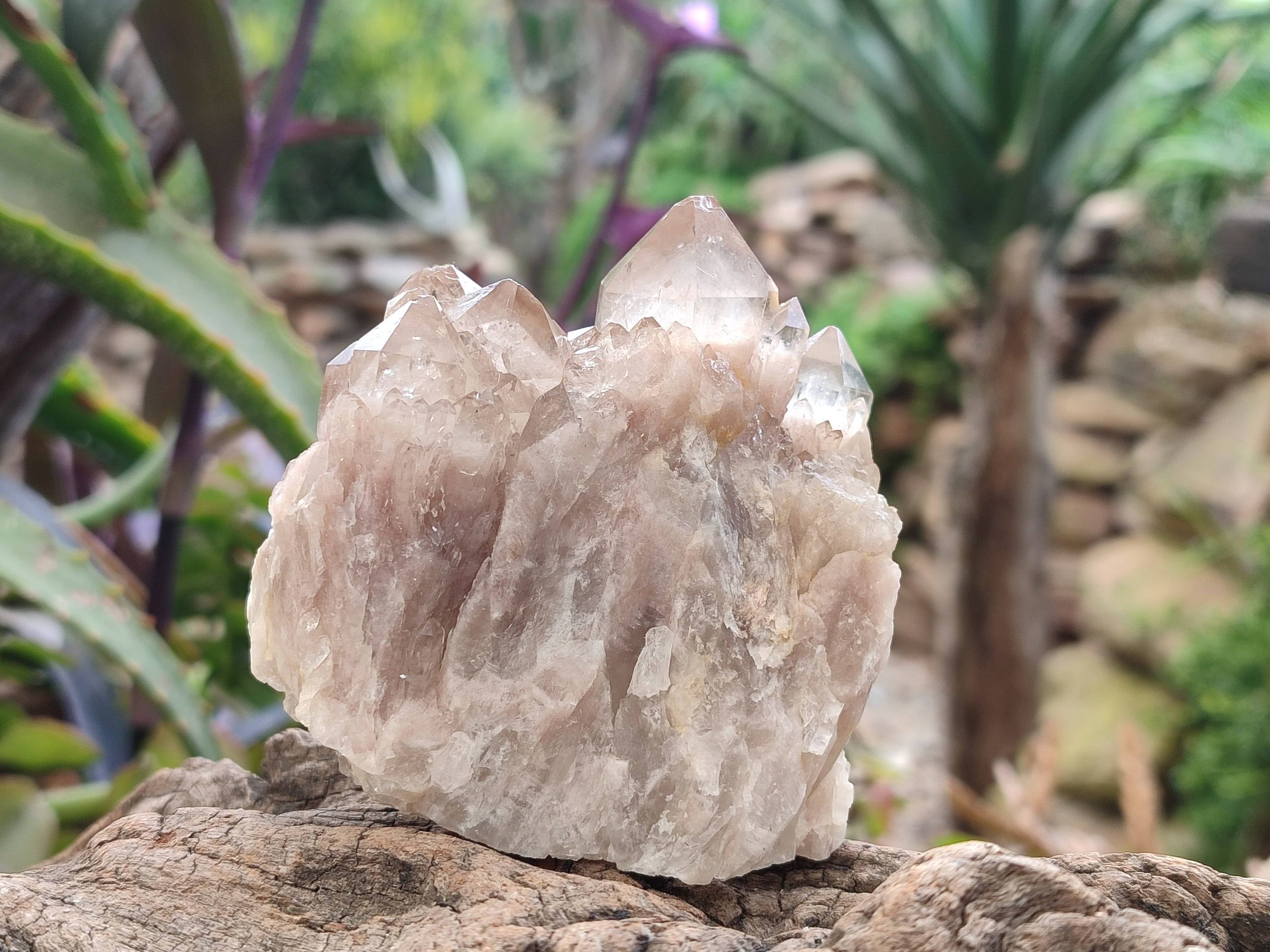 Natural Smokey Phantom Quartz Clusters x 6 From Luena, Congo - Toprock Gemstones and Minerals 