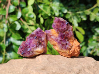 Natural Amethystos Amethyst Clusters x 35 From Kwaggafontein, South Africa - Toprock Gemstones and Minerals 