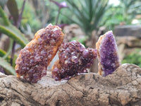 Natural Amethystos Amethyst Clusters x 35 From Kwaggafontein, South Africa - Toprock Gemstones and Minerals 