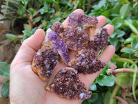 Natural Amethystos Amethyst Clusters x 35 From Kwaggafontein, South Africa - Toprock Gemstones and Minerals 