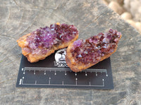 Natural Amethystos Amethyst Clusters x 35 From Kwaggafontein, South Africa - Toprock Gemstones and Minerals 