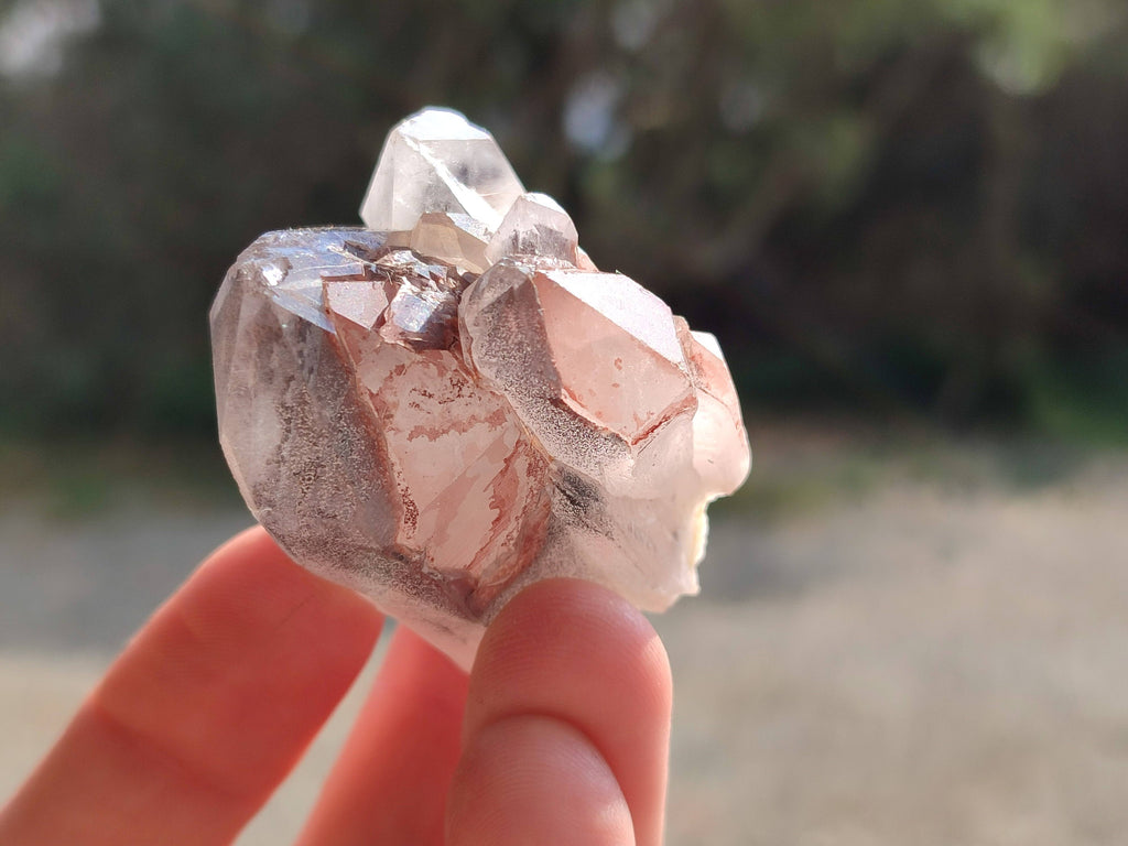 Natural Red Hematoid Quartz Crystals x 12 From Karoi, Zimbabwe - Toprock Gemstones and Minerals 