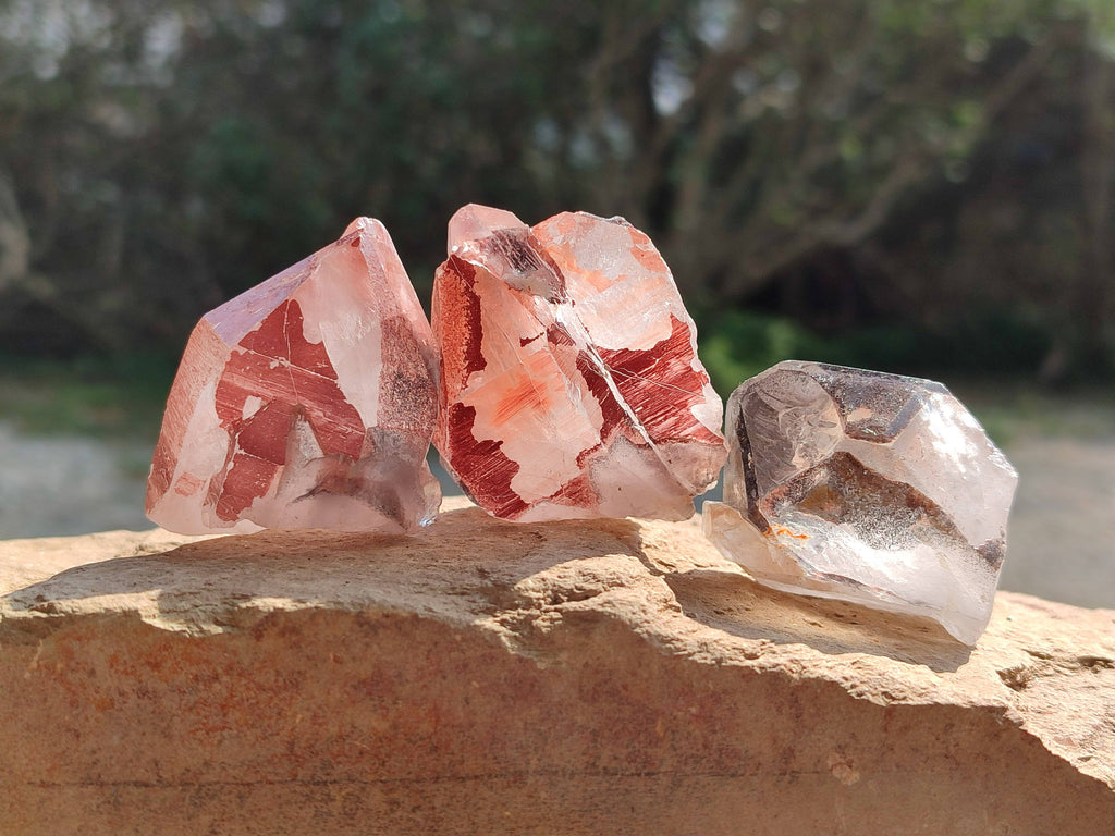 Natural Red Hematoid Quartz Crystals x 12 From Karoi, Zimbabwe - Toprock Gemstones and Minerals 