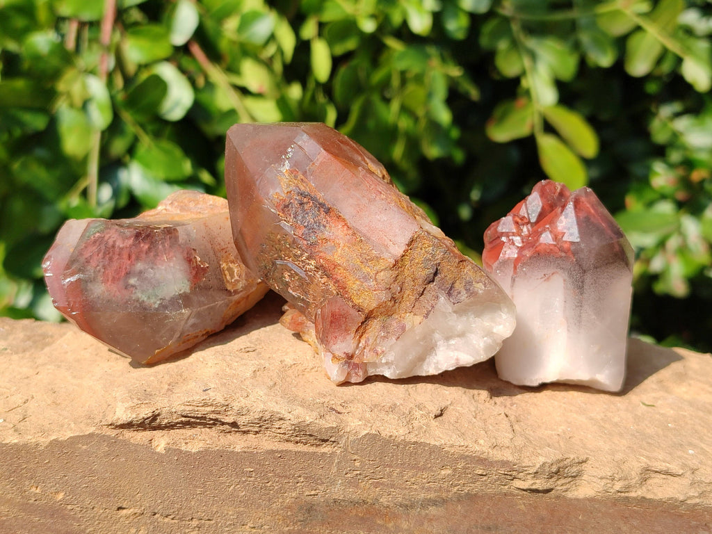 Natural Red Hematoid Quartz Crystals x 12 From Karoi, Zimbabwe - Toprock Gemstones and Minerals 
