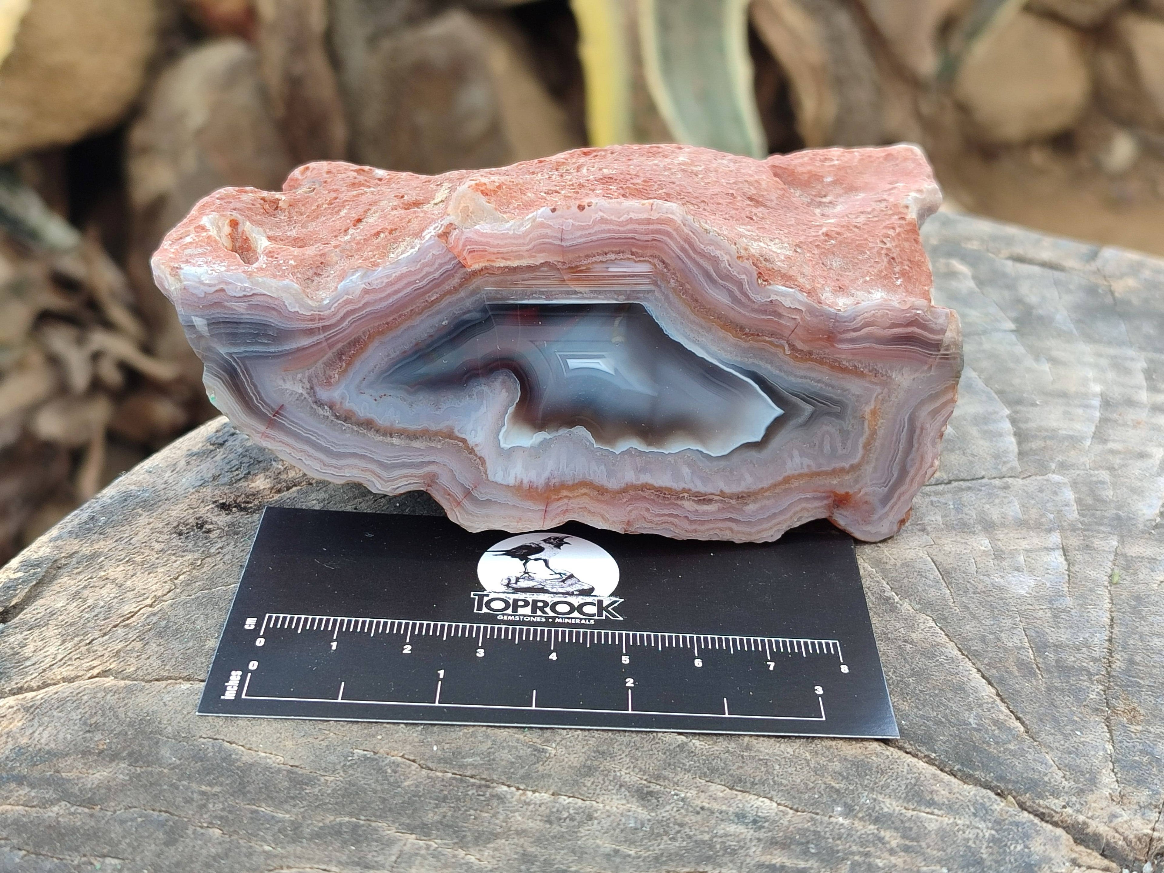 Polished Red Sashe River Agate Nodules x 6 From Sashe River, Zimbabwe - Toprock Gemstones and Minerals 