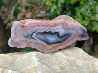 Polished Red Sashe River Agate Nodules x 6 From Sashe River, Zimbabwe - Toprock Gemstones and Minerals 