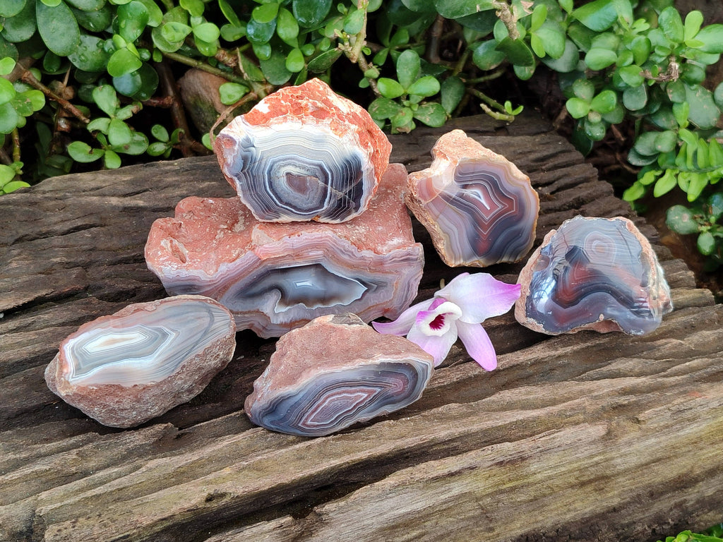 Polished Red Sashe River Agate Nodules x 6 From Sashe River, Zimbabwe - Toprock Gemstones and Minerals 