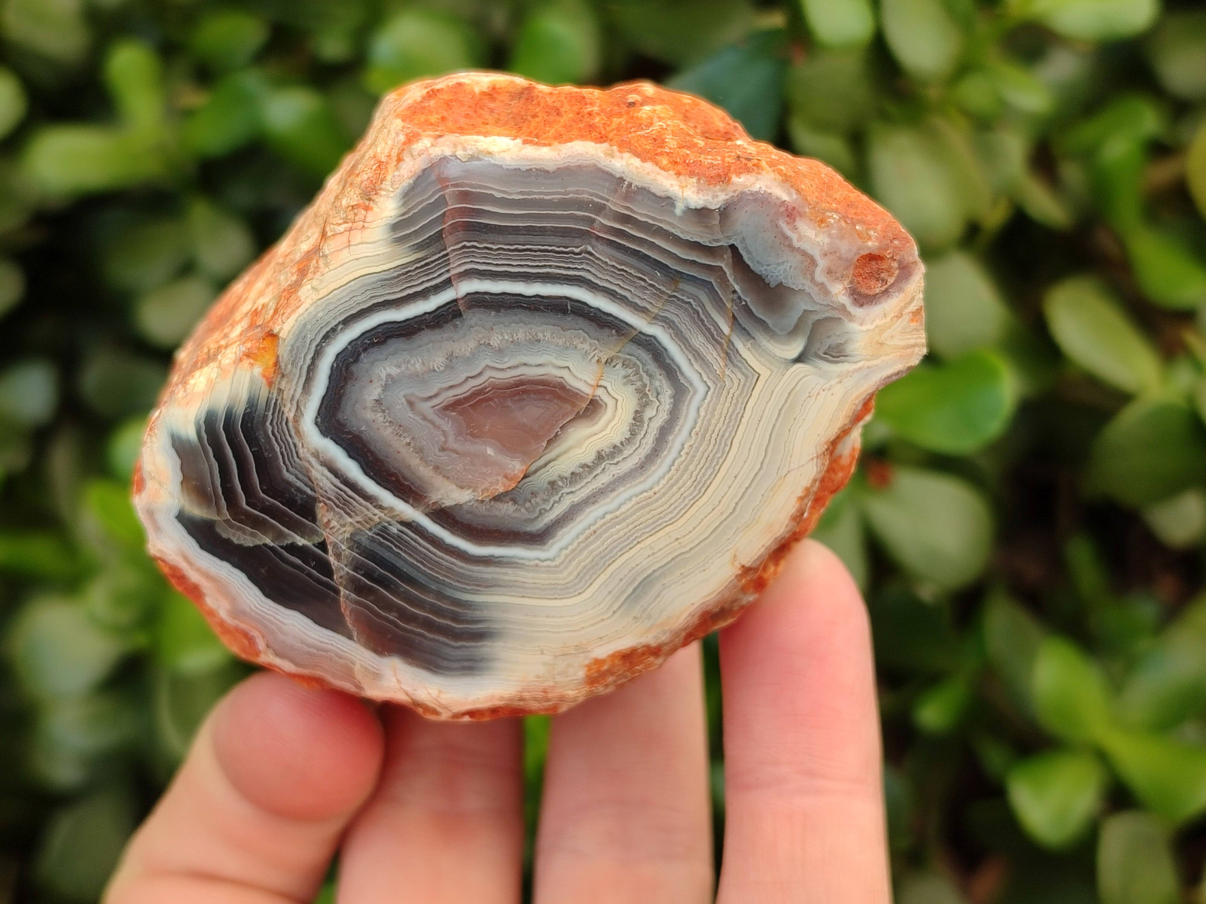 Polished Red Sashe River Agate Nodules x 6 From Sashe River, Zimbabwe - Toprock Gemstones and Minerals 