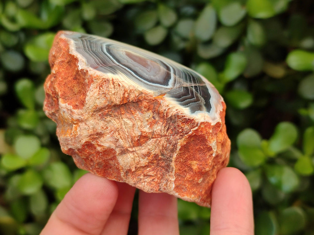 Polished Red Sashe River Agate Nodules x 6 From Sashe River, Zimbabwe - Toprock Gemstones and Minerals 